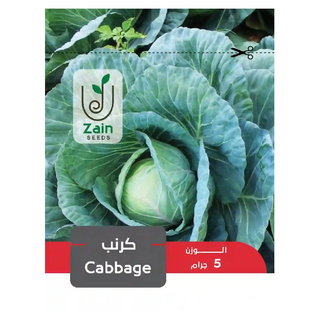 بذور  كرنب للزراعة المنزلية من زين سيدز  بحجم 5 جرام بذور  كرنب للزراعة المنزلية من زين سيدز  بحجم 5 جرام
